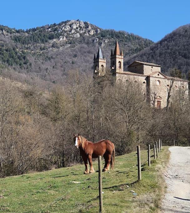 El Mussol De La Vila Camprodon, Balconets Amb Vistes A La Placa Екстер'єр фото
